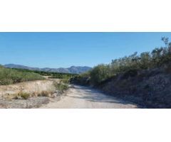 Terreno Rústico en Venta en Benicolet, Valencia