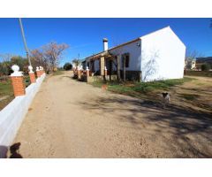 FINCA CON NAVE Y VIVIENDA MUY PRÓXIMA A RONDA