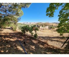 Finca rustica en Venta en Foronda, Málaga
