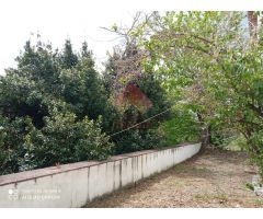 FINCA RÚSTICA CON CORTIJO EN EL LLANO DE LA CRUZ