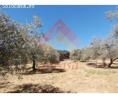 Finca rustica en Venta en Foronda, Málaga