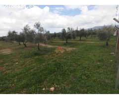 VENTA DE FINCA A 7 MINUTOS DE RONDA