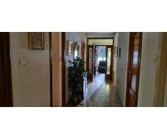 SE VENDE CHALET Y EDIFICIO DE 2 PLANTAS EN PETRER