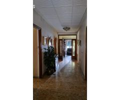 SE VENDE CHALET Y EDIFICIO DE 2 PLANTAS EN PETRER