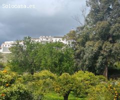 Magnifica finca con casa en Carratraca