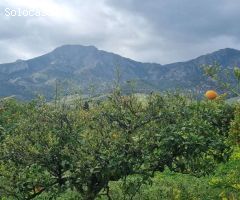 Magnifica finca con casa en Carratraca