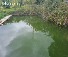 Magnifica finca con casa en Carratraca
