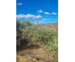 Finca con casa junto al  Caminito del Rey con  todas las comodidades
