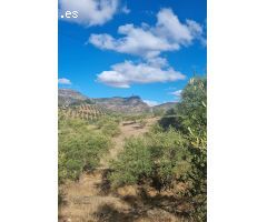 Finca con casa junto al  Caminito del Rey con  todas las comodidades