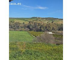 Super oportunidad .Magnifica finca con cortijo para restaurar  y una casa totalmente restaurada en u