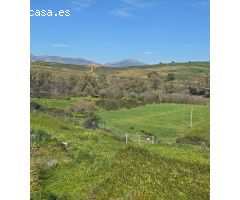 Super oportunidad .Magnifica finca con cortijo para restaurar  y una casa totalmente restaurada en u