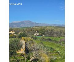 Super oportunidad .Magnifica finca con cortijo para restaurar  y una casa totalmente restaurada en u