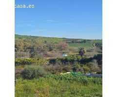 Super oportunidad .Magnifica finca con cortijo para restaurar  y una casa totalmente restaurada en u