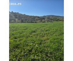 Super oportunidad .Magnifica finca con cortijo para restaurar  y una casa totalmente restaurada en u