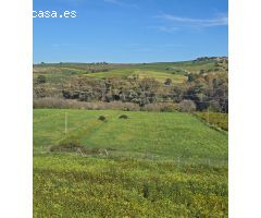 Super oportunidad .Magnifica finca con cortijo para restaurar  y una casa totalmente restaurada en u