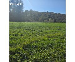 Super oportunidad .Magnifica finca con cortijo para restaurar  y una casa totalmente restaurada en u