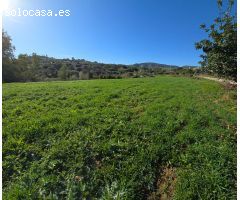 Super oportunidad .Magnifica finca con cortijo para restaurar  y una casa totalmente restaurada en u