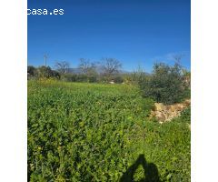 Super oportunidad .Magnifica finca con cortijo para restaurar  y una casa totalmente restaurada en u