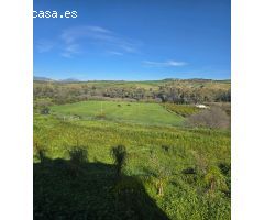 Super oportunidad .Magnifica finca con cortijo para restaurar  y una casa totalmente restaurada en u
