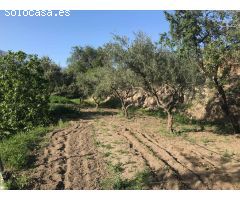 Magnificas casa con 5 dormitorio en el caminito del rey para proyecto rural