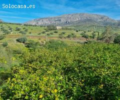 Magnificas casa con 5 dormitorio en el caminito del rey para proyecto rural