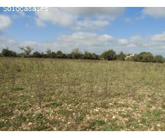 Terreno edificable con proyecto en Manacor