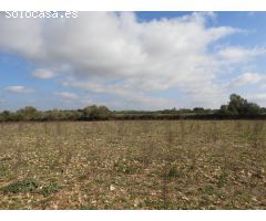 Terreno edificable con proyecto en Manacor