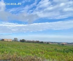 Finca rústica edificable en Manacor