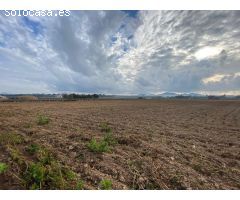 Finca rústica edificable en Manacor