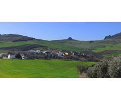 Finca rustica con terreno en Ronda