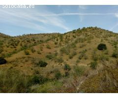 Terreno 80.000m2 con finca de origen