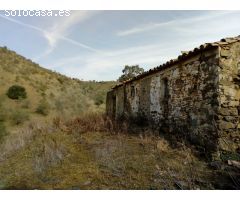 Terreno 80.000m2 con finca de origen