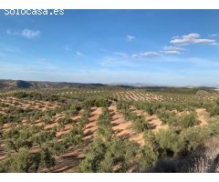 Cortijo en Venta en La Alameda, Málaga