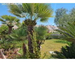 PLANTA BAJA DE 2 DORMITORIOS CON JARDÍN Y PISCINA COMUNITARIA - RESIDENCIAL MIRAFLORES -