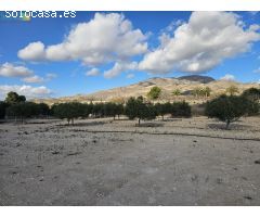 SE VENDE PARCELA EN LA SERRETA - MONFORTE DEL CID (ALICANTE)