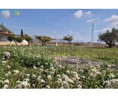 SE VENDE CHALET EN EL CAMPET - NOVELDA (ALICANTE)