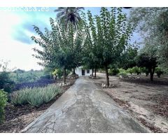 casa de campo de 131 m² en parcela de 2.728 m², situada en la tranquila zona de Ambra, Pego.