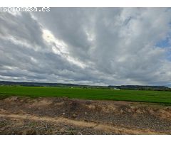 Terreno en venta en Poligono Sector 8 2, Venta de Baños
