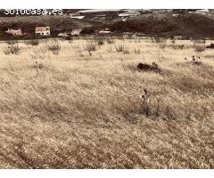 Venta de Parcela Rústica de 14,000 m² en la zona de Los Silos, Gáldar