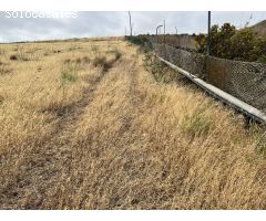 Oportunidad Única: Terreno Rústico de 16.000 m² con cuarto de aperos en Los Silos, Gáldar