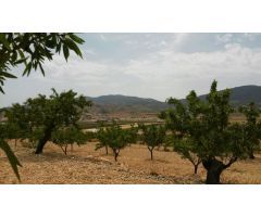  en Venta en Elche pedanias, Alicante