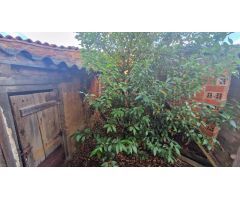 Casa de Pueblo en Venta en Villacedré, León
