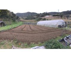 OPORTUNIDAD Terreno agrícola con CERTIFICACIÓN DE CULTIVO ORGÁNICO con construcciones y invernadero