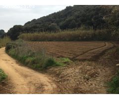 Terreno agrícola en Calella