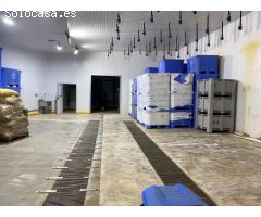 Nave con cámara frio en Venta en Albal, 1000 m.