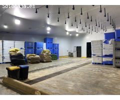 Nave con cámara frio en Venta en Albal, 1000 m.