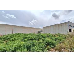 SUELO EN VENTA EN P.I,  LOS VIENTOS, NÁQUERA