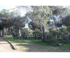 PARCELA EN CERRO MURIANO