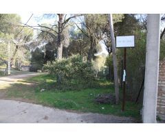 PARCELA EN CERRO MURIANO