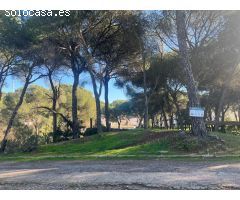 PARCELA EN CERRO MURIANO